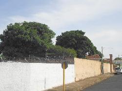 Prédio comercial para Venda em Araraquara - 4