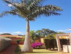 Casa para Venda em Araraquara - 4