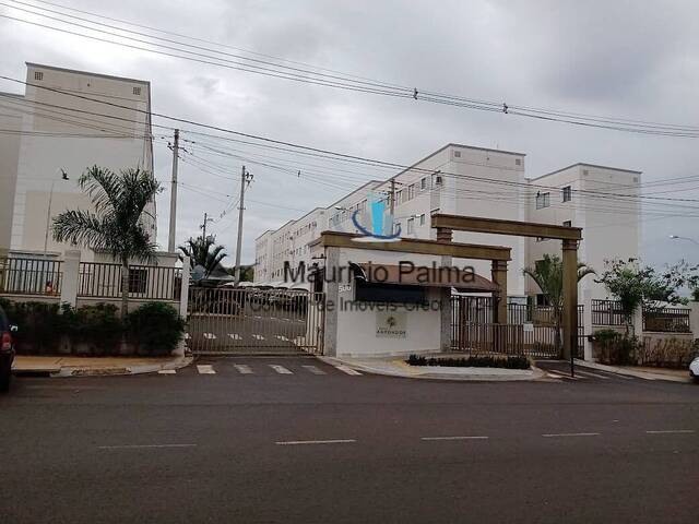 #AP-525 - Apartamento para Venda em Araraquara - SP - 1