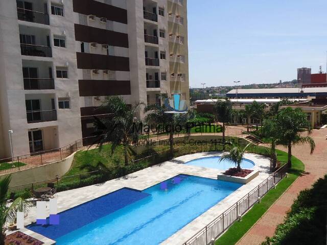 #AP-531 - Apartamento para Locação em Araraquara - SP