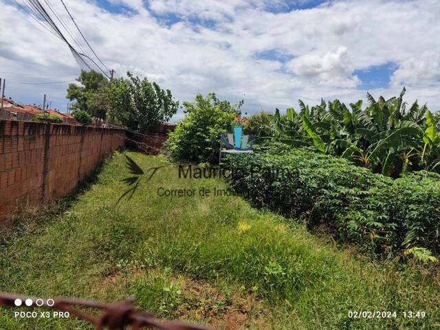 Terreno para Venda em Araraquara - 4