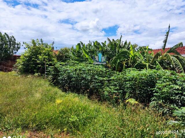 Terreno para Venda em Araraquara - 5