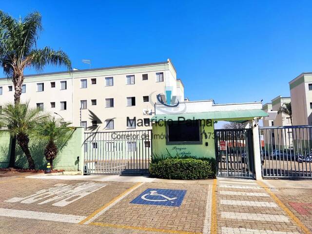 #AP-588 - Apartamento para Locação em Araraquara - SP