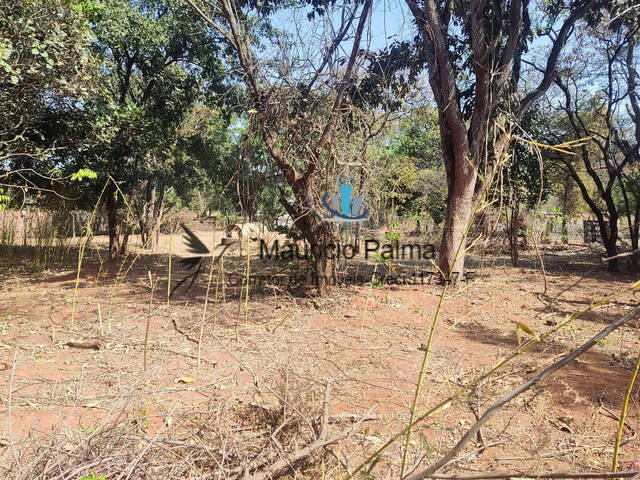 Terreno para Venda em Araraquara - 4