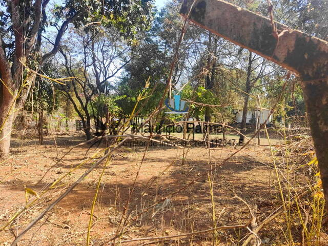 Terreno para Venda em Araraquara - 4