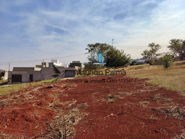 Terreno para Venda em Araraquara - 4