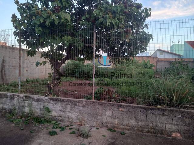 Terreno para Venda em Matão - 5