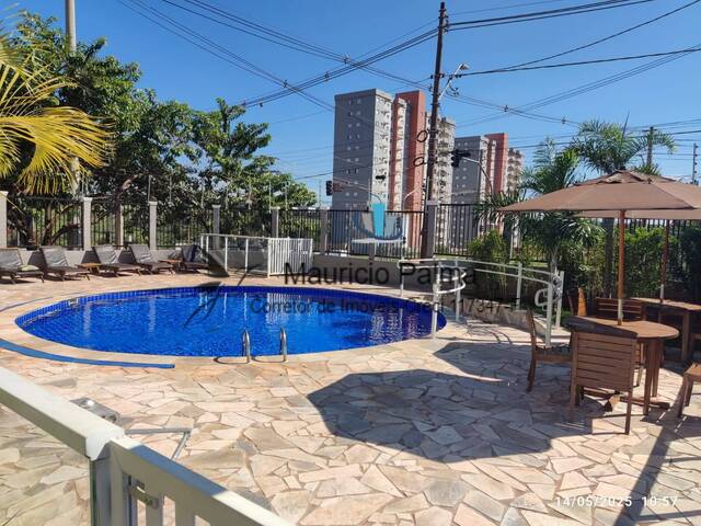 #AP-617 - Apartamento para Locação em Araraquara - SP