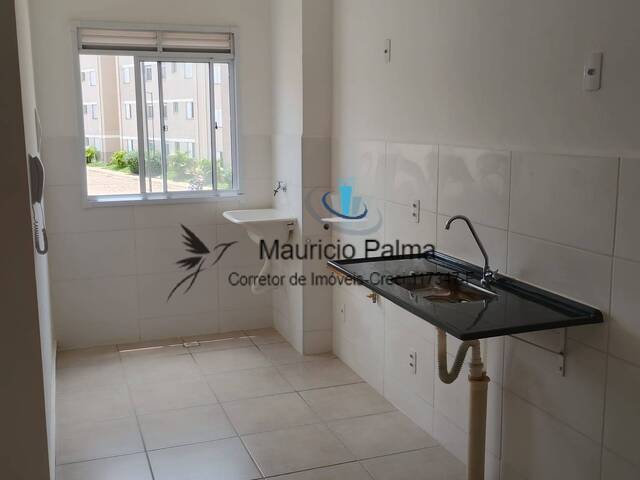 #AP-4925 - Apartamento para Locação em Araraquara - SP