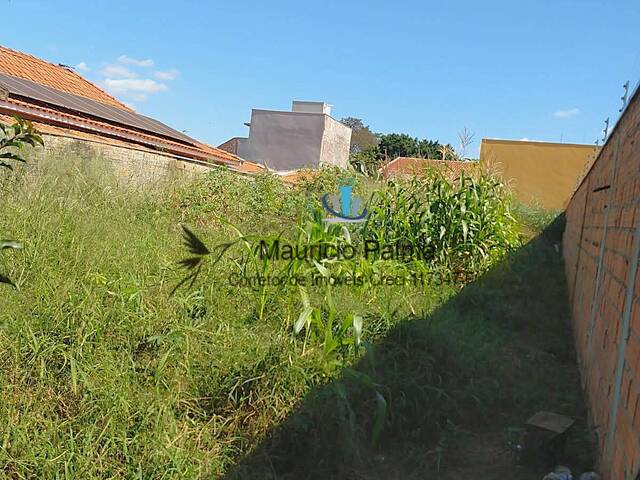 Terreno para Venda em Araraquara - 3