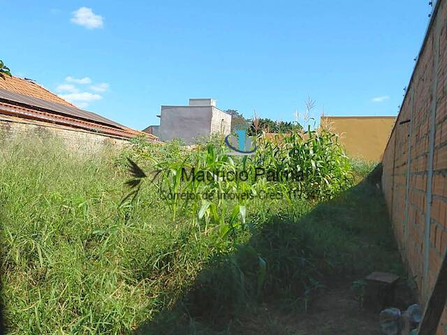 Terreno para Venda em Araraquara - 4