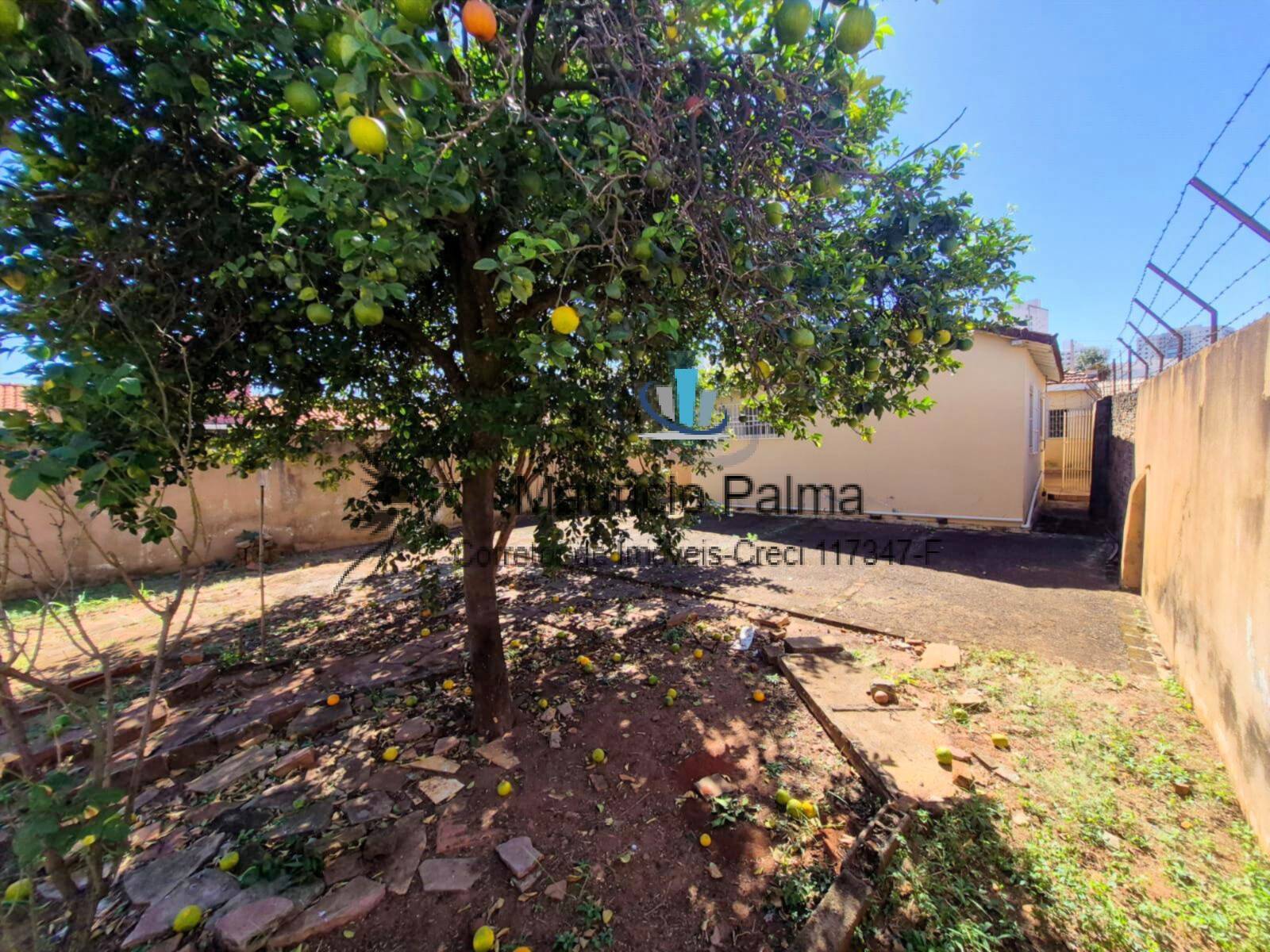 Casa, 3 quartos, 151 m² - Foto 19